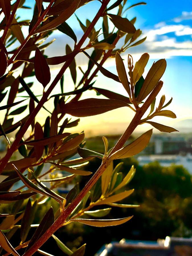 RoofTop Apartement - Quartier Croisette Cannes Extérieur photo